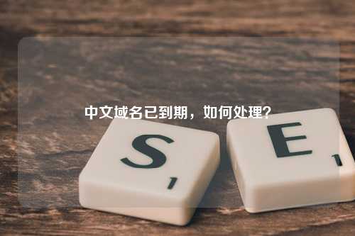 中文域名已到期，如何处理？