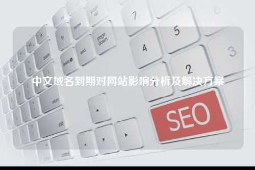 中文域名到期对网站影响分析及解决方案
