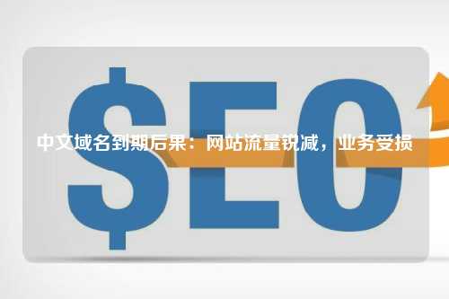 中文域名到期后果：网站流量锐减，业务受损